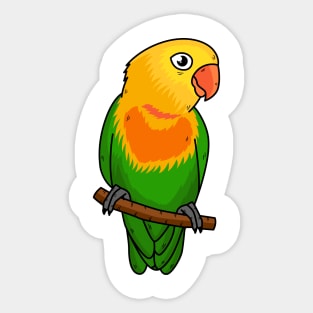 Cute lovebird cartoon parrot Sticker